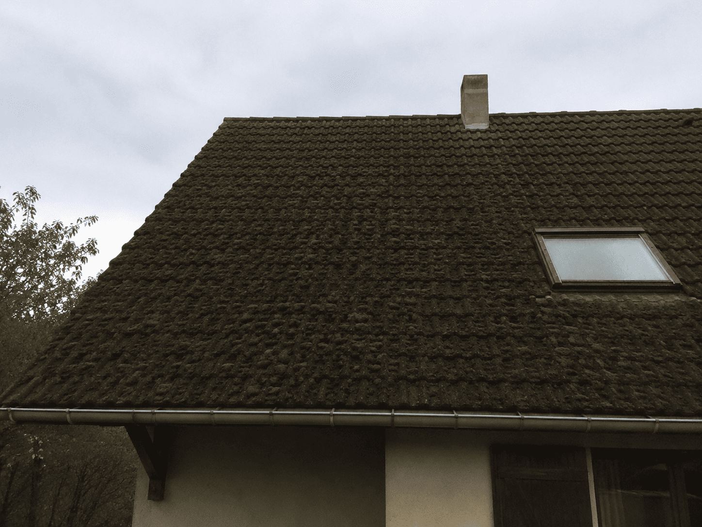 Toiture avant démoussage, envahie par la mousse
